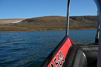 Grönland - Diskobucht, Thule, Illulissat
