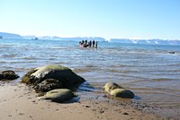 Grönland - Diskobucht, Thule, Illulissat