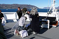 Grönland - Diskobucht, Thule, Illulissat