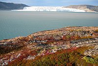 Grönland - Diskobucht, Thule, Illulissat
