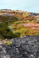 Grönland - Diskobucht, Thule, Illulissat