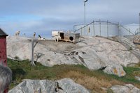 Grönland - Diskobucht, Thule, Illulissat