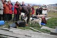 Grönland - Diskobucht, Thule, Illulissat