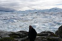 Grönland - Diskobucht, Thule, Illulissat
