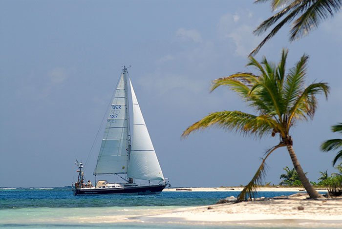 Hippopotamus in der S&uuml;dsee