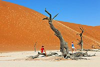 Roevers im Sossusvlei
