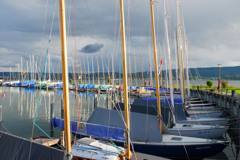 Folke IDM Radolfzell