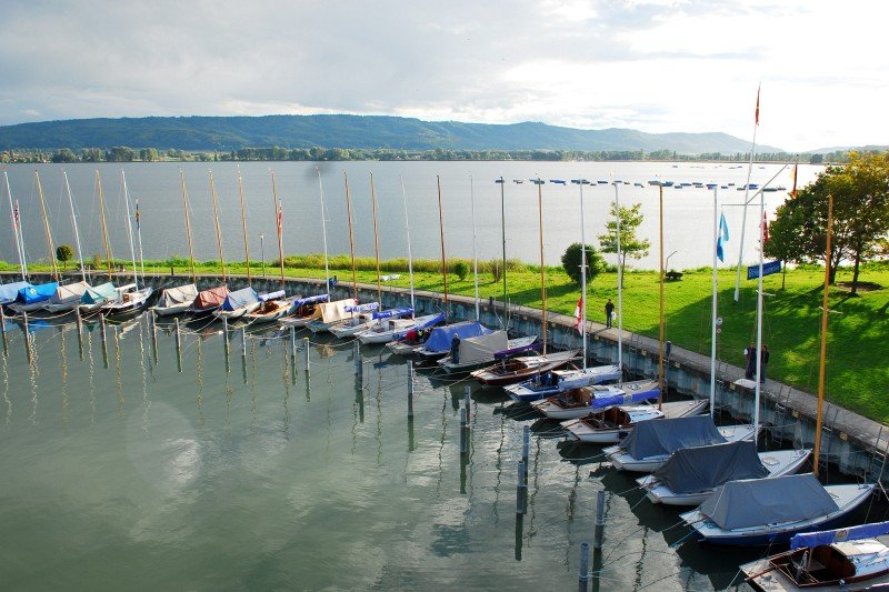 Folke IDM Radolfzell