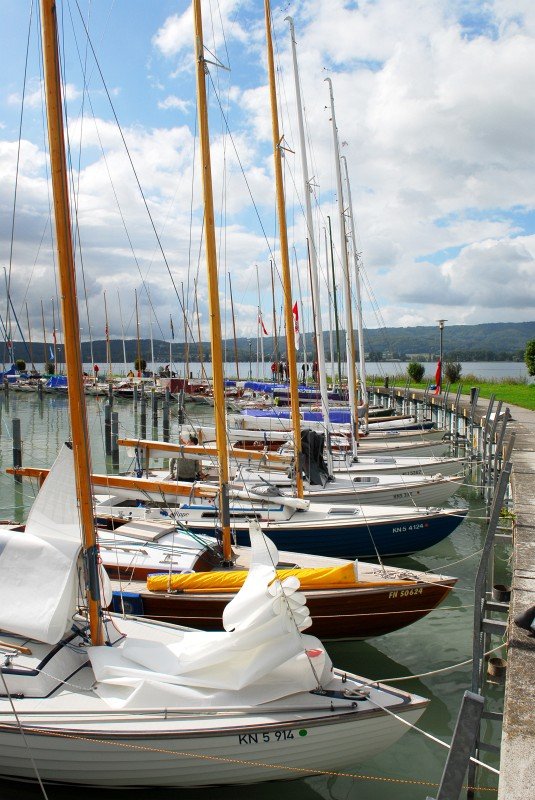 Folke IDM Radolfzell