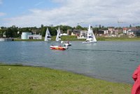 BMW Sailing Cup Phoenixsee