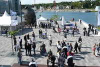 BMW Sailing Cup Phoenixsee