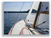 Foto vergr&ouml;&szlig;ern ...