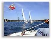 Foto vergr&ouml;&szlig;ern ...